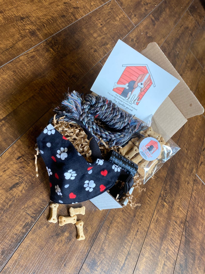 https://pamperedpawgifts.com/ppgwp/wp-content/uploads/2020/09/welcome-home-gift-box-for-puppy.jpg