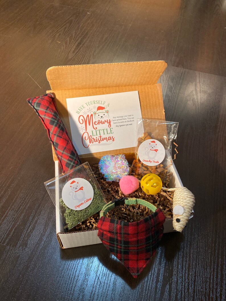 cat toy gift box