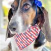 4th of July Patriotic Tie On Dog Bandana - Image 3