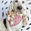 4th of July Patriotic Tie On Dog Bandana - Image 2