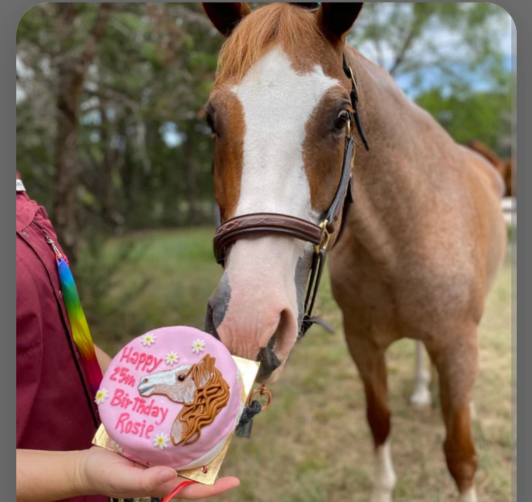 Can horses have 2025 icecream