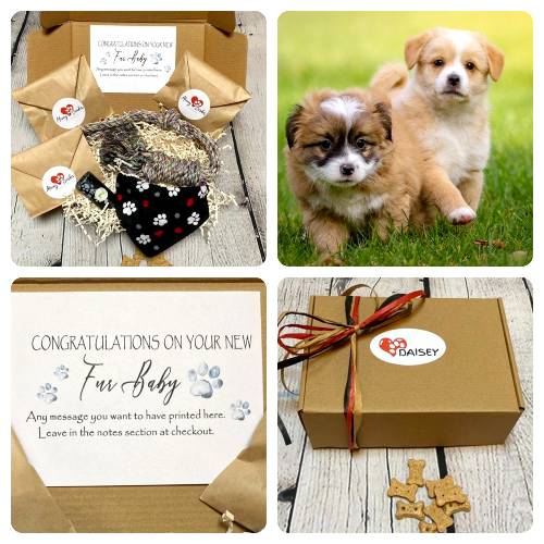 New Puppy Gift Box New Owner Dog Gift Basket Welcome Home New Dog