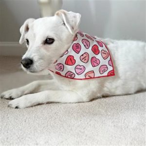 Valentine's Day Dog Bandanas