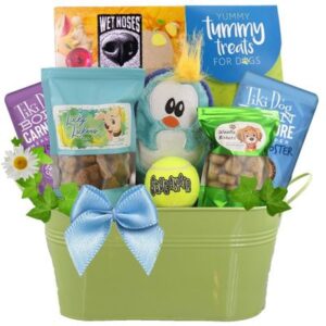 Fun and Games Luxury Dog Gift Basket