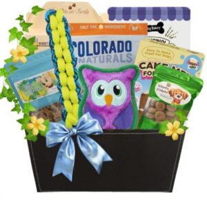 Doggy Favorites Includes Birthday Cake Luxury Dog Gift Basket