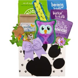 Treats Ahoy Luxury Dog Gift Basket