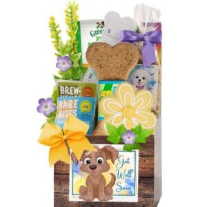 Dog Get Well Soon Gift Basket