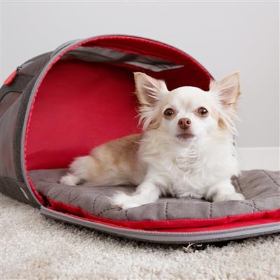 kong 2 in 1 pet carrier