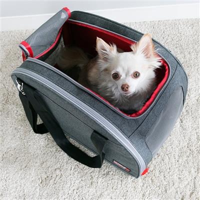 kong 2 in 1 pet carrier