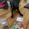 Grain Free Barkcuterie Board Treat Box Dog Treats - Image 2