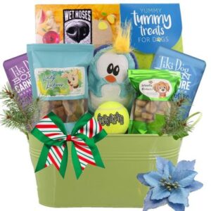 Fun and Games Holiday Dog Gift Basket