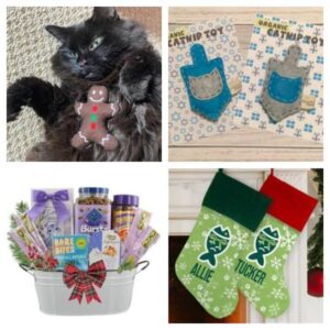 Hanukkah Christmas For Cats and All Holidays