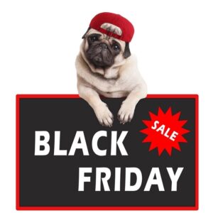 Black Friday Deals