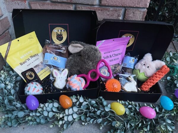 So Fetch Easter Dog Gift Box - Dog Gift Basket - Dog Toys and Treats