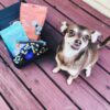 So Fetch Just Because- Dog Gift Treat Box - Image 2