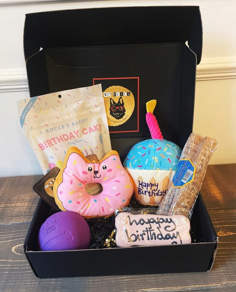 So Fetch Mini Happy Birthday Gift Box - Dog Gift Basket - Gift for
