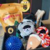 So Fetch Just Because- Dog Gift Treat Box - Image 3