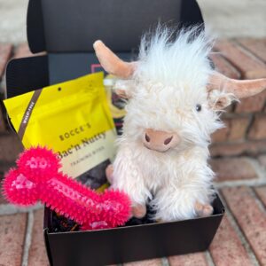 So Fetch Mini Welcome Home Puppy Gift Box - Puppy Gift Basket - Gift for Puppy Dogs