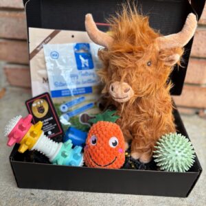 So Fetch Welcome Home Puppy Gift Box - Puppy Gift Basket - Gift for Dog