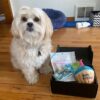 So Fetch Mini Happy Birthday Gift Box - Dog Gift Basket - Gift for Dogs - Image 4