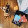 So Fetch Just Because- Dog Gift Treat Box - Image 4