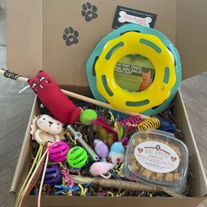 cat treats and toys gift box