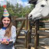 Horse Happy Birthneigh Cake® (Hard) - Image 3