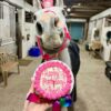 Horse Happy Birthneigh Cake® (Hard) - Image 8