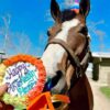 Horse Happy Birthneigh Cake® (Hard)