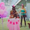 Horse Happy Birthneigh Cake® (Hard) - Image 13