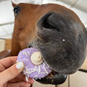 Cakes and Treats Birthday Gotcha Day Get Well Treats For Horses Holidays