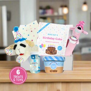 Birthday Dog Gift Box