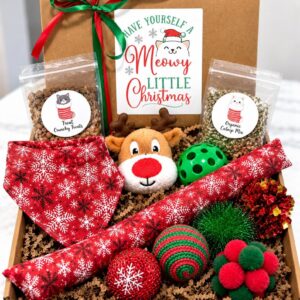 Purrfect Cat Toy Gift Set