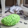 Zombie Catnip Brain - Green Brain Shaped Catnip Cat Toy | Stuffed with Super Potent Catnip | Jute Spinal Cord | Meowy Janes - Image 3