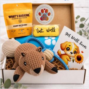 Dog Comfort Package and Blanket