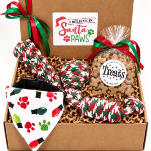 Christmas Dog Gift Box - Dog Gift Basket - Dog Toys and Treats - Gift for Dog