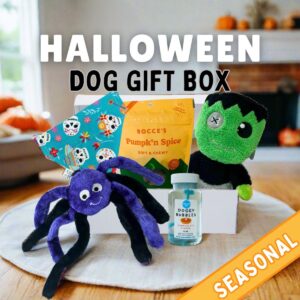 Halloween Dog Treats & Toys Box | Themed Box for Your Dog | Spooky and Cute Dog Treats, Toys, and Accessories
