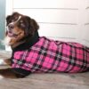 Highline Fleece Dog Coat - Pink and Black Plaid - Image 4