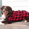 Highline Fleece Dog Coat - Red and Black Plaid - Image 3
