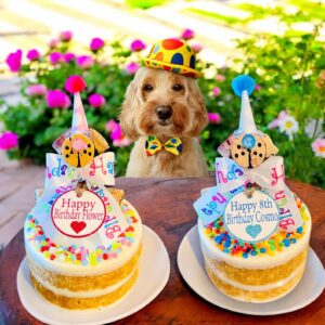 Dog Bakery Barkday Happy Gotcha Day Birthday Cakes For Dogs