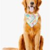 Party Bandana | Birthday Bandana | Happy Birthday - Image 3