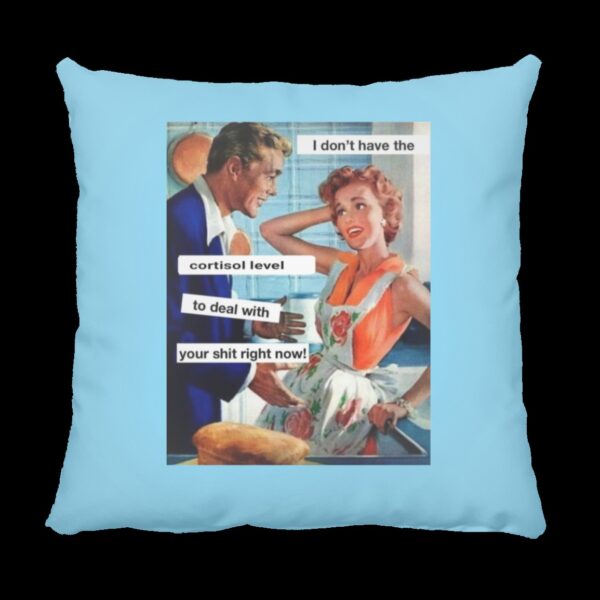 I don't have the Cortisol Square Pillow Blue
