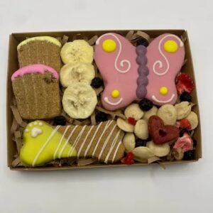 Spring Fling Box Dog Treats