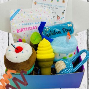 Blue Gotcha Day Dog Party Box