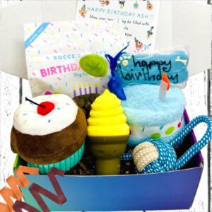 Blue Birthday Dog Party Box