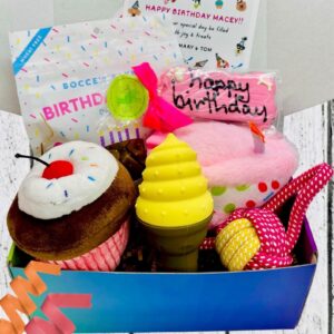 Pink Birthday Dog Party Box