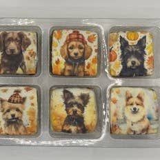 Autumn Halloween Dog Treats
