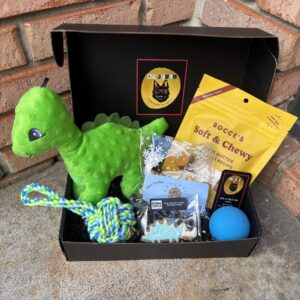 So Fetch "Land Before Time" Dog Gift Box - Dog Gift Basket - Gifts for Dog