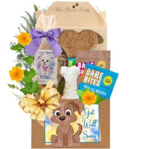 Make it all better Dog Get Well Soon Gift Basket