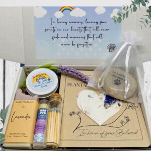 Rainbow Bridge Sympathy Box for Dog or Cat
